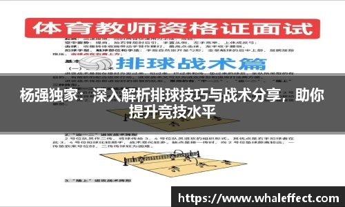 杨强独家：深入解析排球技巧与战术分享，助你提升竞技水平