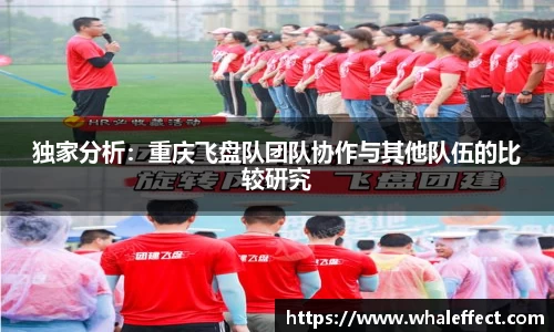 独家分析：重庆飞盘队团队协作与其他队伍的比较研究