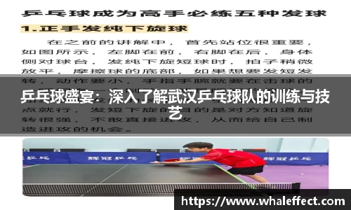 乒乓球盛宴：深入了解武汉乒乓球队的训练与技艺